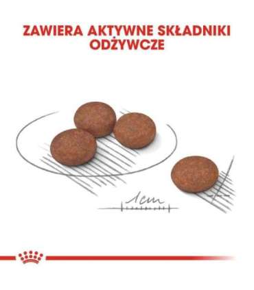 ROYAL CANIN Mini Digestive Care - dry dog food for adult small breeds - 1kg