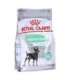 ROYAL CANIN Mini Digestive Care - dry dog food for adult small breeds - 1kg