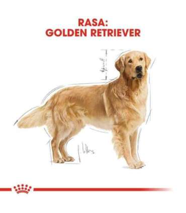 ROYAL CANIN BHN Golden Retriever dry dog food - 12kg