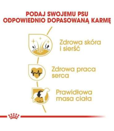 ROYAL CANIN BHN Golden Retriever dry dog food - 12kg