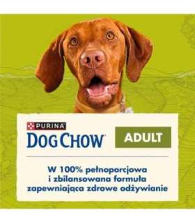 PURINA Dog Chow Adult Lamb - dry dog food - 14 + 2,5kg