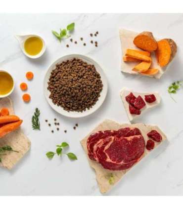 RAW PALEO Ultra Mini Puppy Beef - dry food for puppies of small breeds - 8 kg