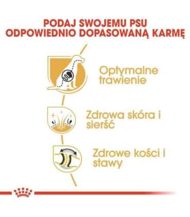 ROYAL CANIN BHN German Shepherd Adult dry dog food - 11kg