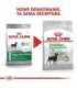 ROYAL CANIN CCN Mini Digestive Care - dry dog food - 3 kg
