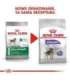 ROYAL CANIN Mini Sterilised - dry food for adult dogs, small breeds, after sterilisation - 1kg