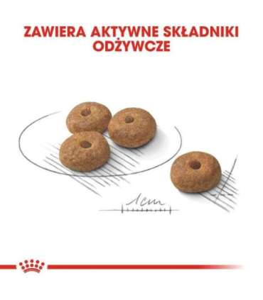 ROYAL CANIN Mini Sterilised - dry food for adult dogs, small breeds, after sterilisation - 1kg