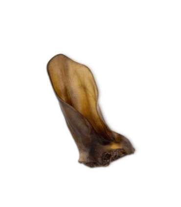 UNISZKI Medium Beef Ear - Dog Treat - 1 Piece