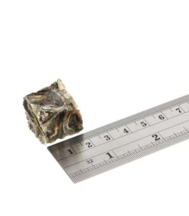 FISH4DOGS Dental Sea Jerky Fish Tiddlers - dog treat - 575g