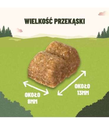 PURINA Adventuros Training salmon - dog treat - 40g