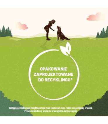 PURINA Adventuros Training salmon - dog treat - 40g