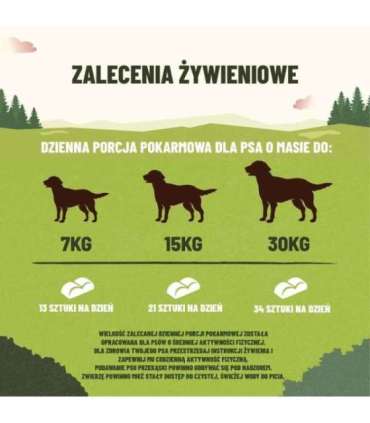 PURINA Adventuros Training salmon - dog treat - 40g