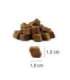 PLATINUM Fit-Bits Protect - dog treat - 150g