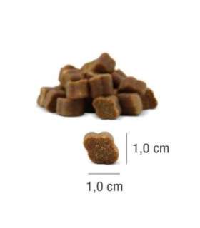 PLATINUM Fit-Bits Mobility - dog treat - 150g