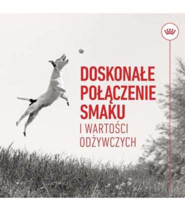 ROYAL CANIN Training Treats - dog treat - 110g