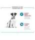 ROYAL CANIN Training Treats - dog treat - 110g