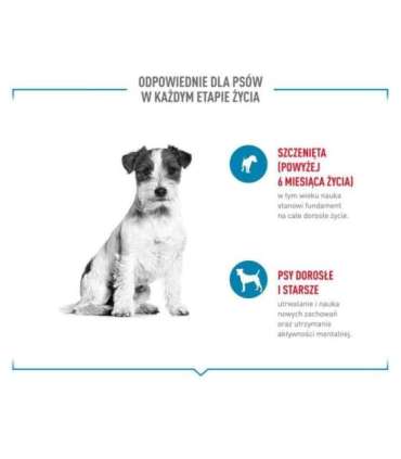 ROYAL CANIN Training Treats - dog treat - 110g