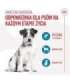 ROYAL CANIN Training Treats - dog treat - 110g