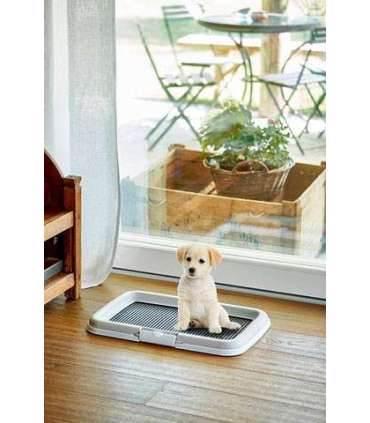 ZOLUX dog / cat litter box Open litter box Black, Grey