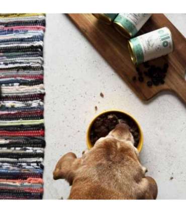 OLLO Umami Goose and turkey - wet dog food - 850g