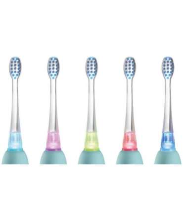 Szczoteczka soniczna niebieska ZK3020 CONCEPT