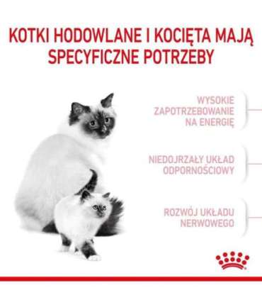 Royal Canin Mother & Babycat 34 dry cat food 0,4 kg