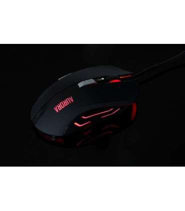 iBox Aurora A-1 mouse Right-hand USB Type-A Optical 2400 DPI