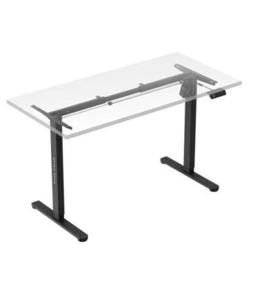 Xeno 2.1 Electric Bas