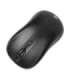 iBOX i009W Rosella wireless optical mouse, black