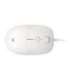iBOX i011 Seagull wired optical mouse, white