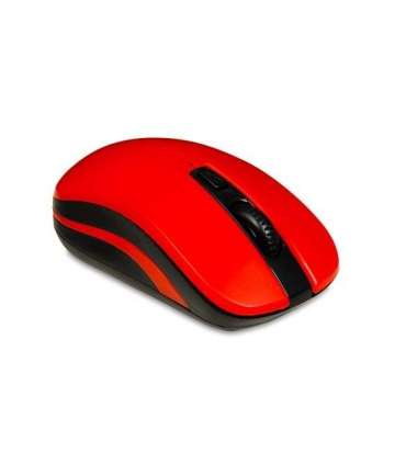 iBox LORIINI mouse Ambidextrous RF Wireless Optical 1600 DPI