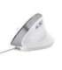 Trust Bayo II mouse Office Right-hand USB Type-A Optical 2400 DPI