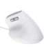 Trust Bayo II mouse Office Right-hand USB Type-A Optical 2400 DPI