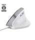 Trust Bayo II mouse Office Right-hand USB Type-A Optical 2400 DPI