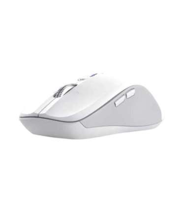Trust 25674 mouse Universal Ambidextrous Bluetooth 3200 DPI