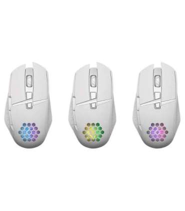 MOUSE DEFENDER GM-514 GLORY OPTIC RF RGB 3200dpi 7P WHITE