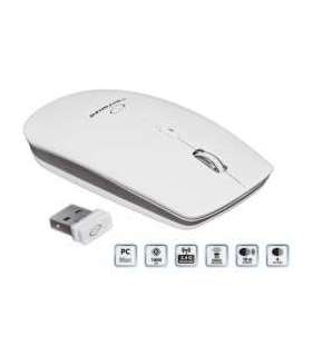 Esperanza EM120W mouse RF Wireless Optical 2400 DPI