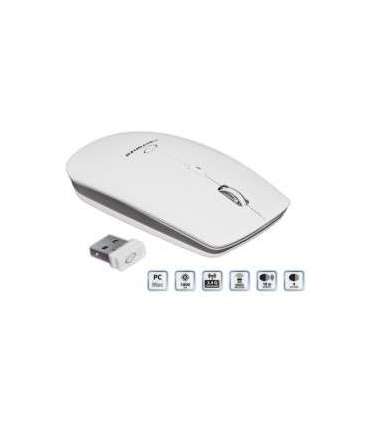 Esperanza EM120W mouse RF Wireless Optical 2400 DPI