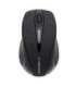 Esperanza EM101K mouse Ambidextrous RF Wireless Optical 1000 DPI