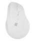 NATEC Crake 2 mouse Universal Right-hand RF Wireless + Bluetooth Optical 2400 DPI