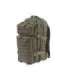 Backpack type  Assault Pack (Laser Cut) - olive green