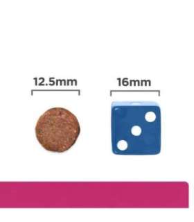 HILL'S PD Gastrointestinal Biome - dry dog food - 10 kg