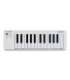 Arturia MicroLab mk3 MIDI keyboard 25 keys USB White