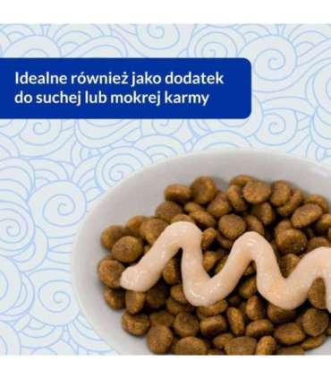 INABA Churu Skin&Coat Chicken recipe - cat treats - 4x14 g