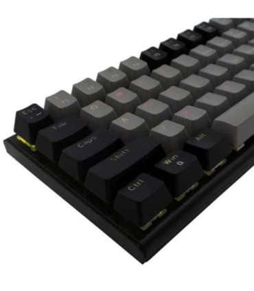 White Shark GK-002721 Wakizashi Grey-Black US