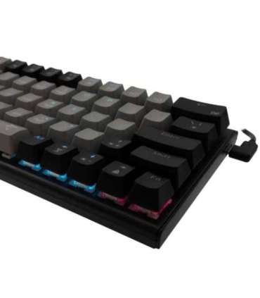 White Shark GK-002721 Wakizashi Grey-Black US