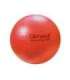 ABS rehabilitation ball with pump 55cm