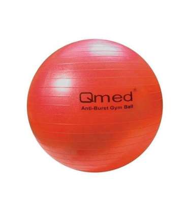 ABS rehabilitation ball with pump 55cm
