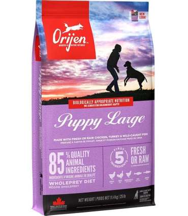 ORIJEN Puppy Large - dry dog food - 11,4 kg