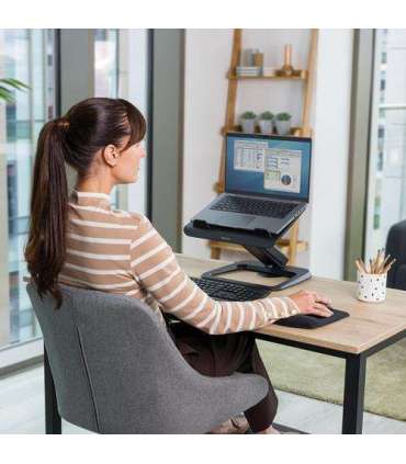 NB ACC STAND HANA LT/BLACK 100016994 FELLOWES