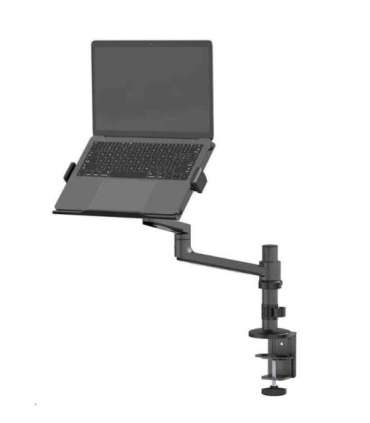 NB ACC DESK STAND 11.6-17.3"/DS20-425BL1 NEOMOUNTS
